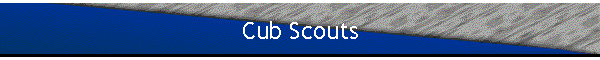 Cub Scouts