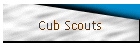 Cub Scouts