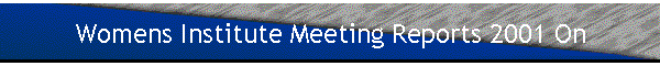 Meeting Reports