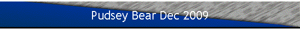 Pudsey Bear Dec 2009