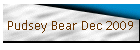 Pudsey Bear Dec 2009