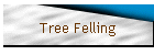 Tree Felling