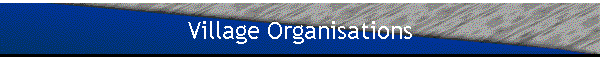 Village Organisations