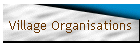 Village Organisations